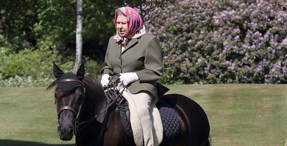 Horse world farewells Queen Elizabeth II - Vimarsana News