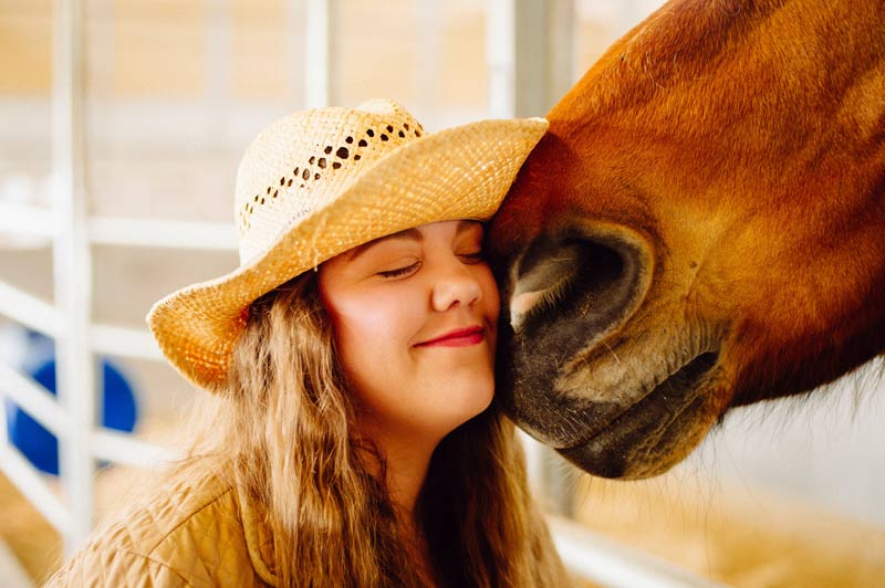 Covid restrictions a real struggle for some in horse community, but others did OK - Vimarsana News