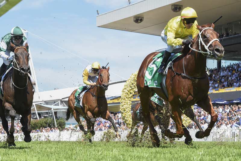 Horse racing gives green light for free passes for "Blue Light" workers - Vimarsana News