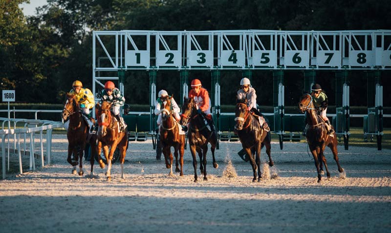 Machine learning may have a role in identifying racehorses at risk of leg fracture - Vimarsana News