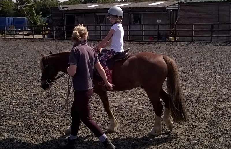 Equine centres first to benefit from British Equestrian's Together Fund - Vimarsana News