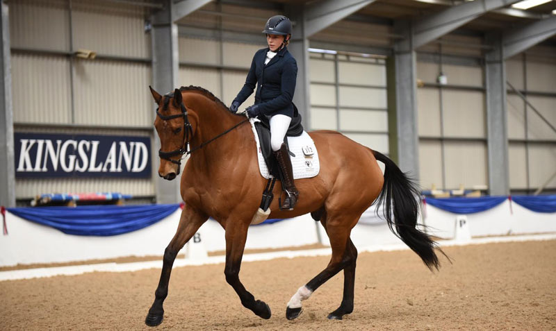Oldies but goodies: Survey reveals owner loyalty to ageing equines - Vimarsana News