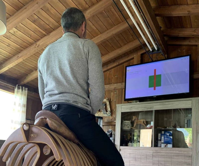 Asymmetry in the stirrups common among horse riders, study findings suggest - Vimarsana News