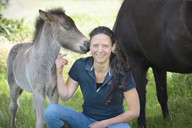 Saving mares and foals the aim of new online foaling course - Vimarsana News