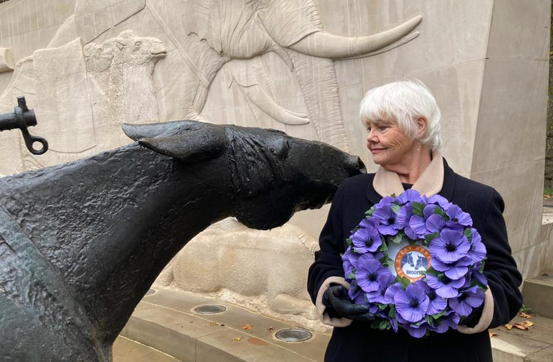 Annette Badland represented Brooke at the Animals in War Memorial Remembrance Gathering in Hyde Park, London on Friday. 