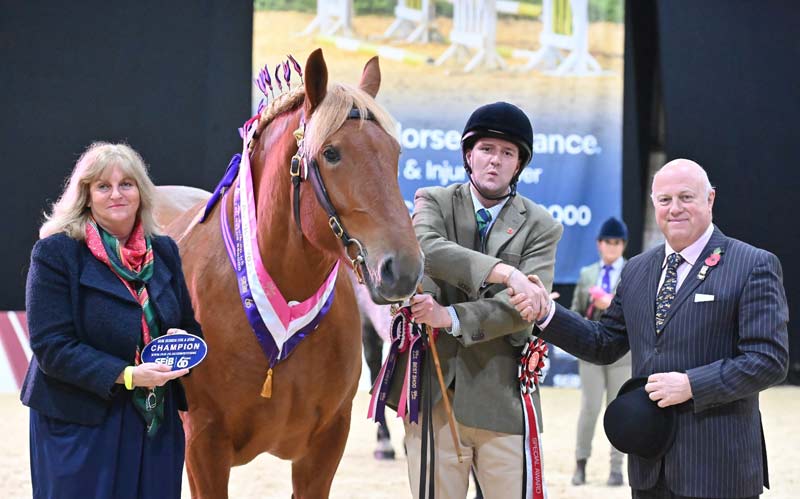 Suffolk Punch mare Holbeache Scarlet won the in-hand Search for a Star Heavy Horse final, and went on to win the overall Supreme title at the SEIB Insurance Brokers Search for a Star Your Horse Live Championship. She is pictured after her win on the first day.